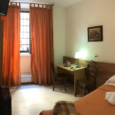 Bolognese 2*