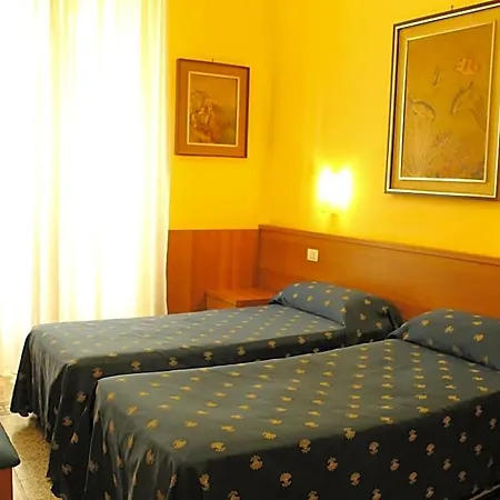 Bolognese 2*