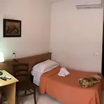 Bolognese 2*